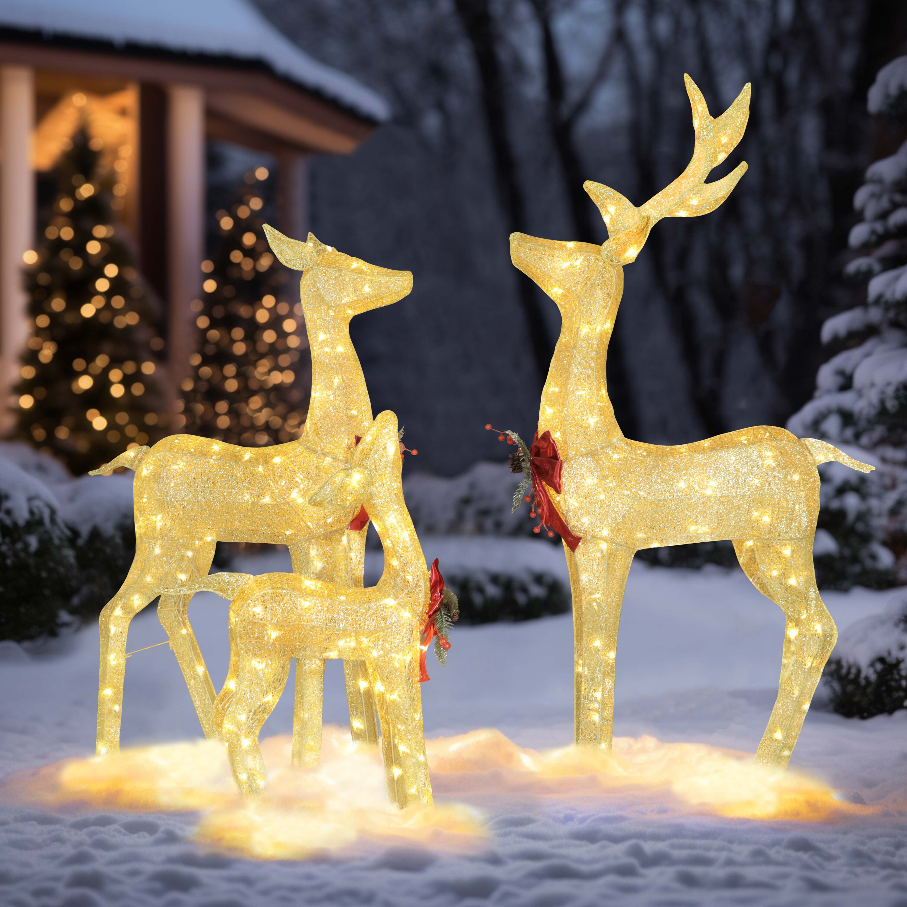 Custom xmas light designs Chicago